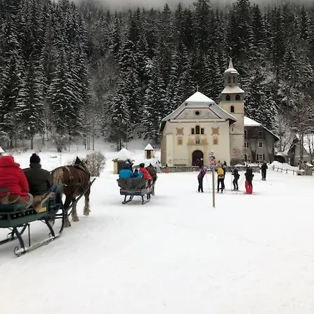 Au Pays Du Mont-blanc Apartment *