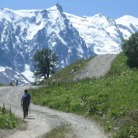 Apartment Au Pays Du Mont-blanc Sallanches