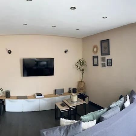 Au Pays Du Mont-blanc Apartment *